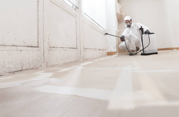 24/7 Emergency Attic Mold Remediation experts in Forest Park, GA