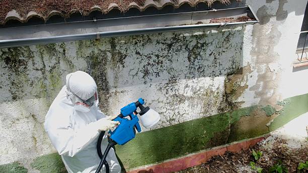 Top rated local Attic Mold Remediation specialists in Forest Park, GA